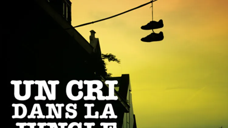 NEO POP ART & KRAK IN DUB  présentent UN CRI DANS