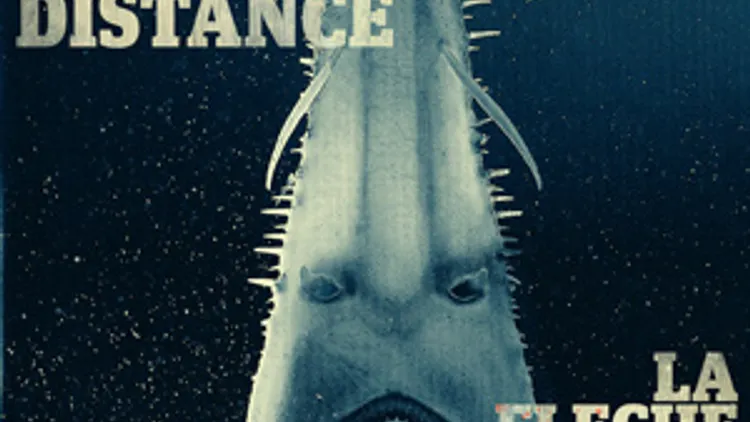 Eternal Tango, SSEDD et The Distance en concert