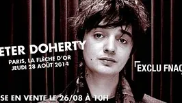Peter Doherty en concert