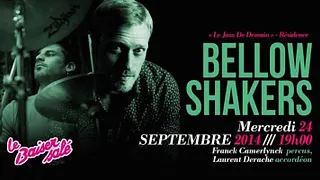 Bellow Shakers