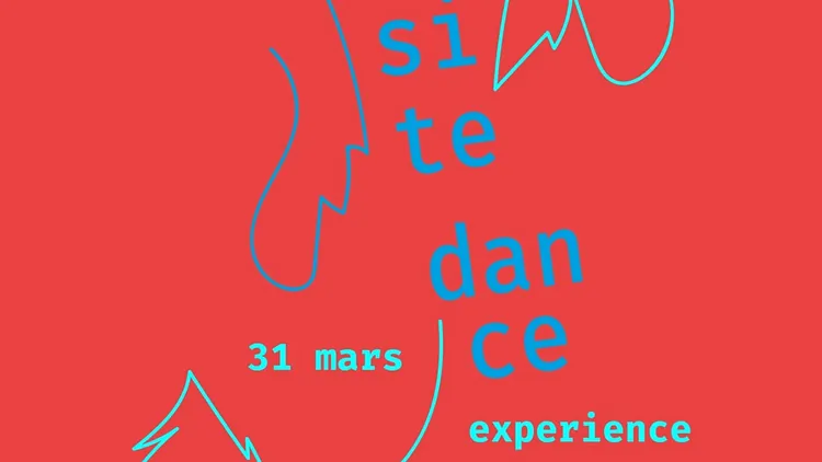OPPOSITE DANCE EXPERIENCE