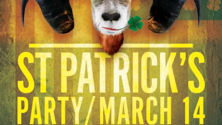 St Patrick’s day 2015 in Paris