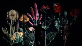 ALICE, DE L'AUTRE COTÉ DU MIROIR