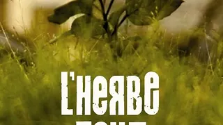 Les dimanches acoustiques : L'herbe folle