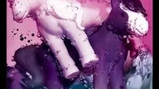 A Glass Of Pony
