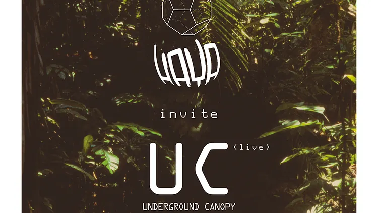 HAYA + UNDERGROUND CANOPY