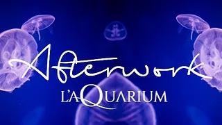 Afterwork @ Aquarium de Paris
