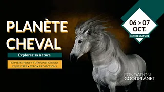 Planète cheval : explorez sa nature