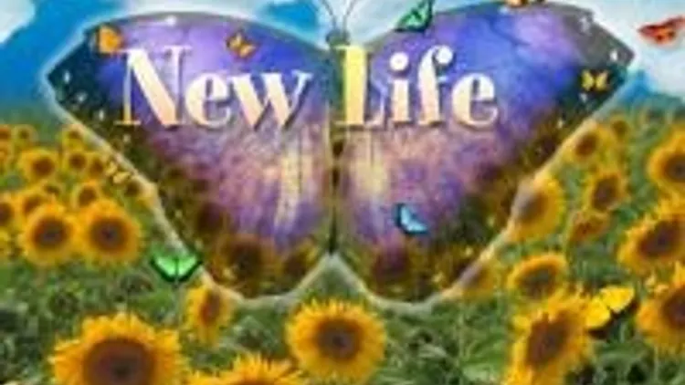 New Life