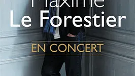 Maxime Le Forestier en concert