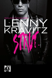 Lenny Kravitz en concert