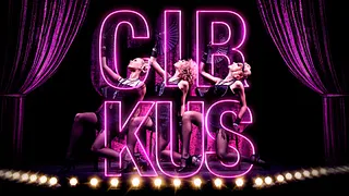 CIRKUS Opening Party