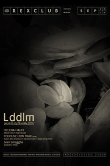 LDDLM