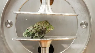 Musée Curie : Visites thématiques
