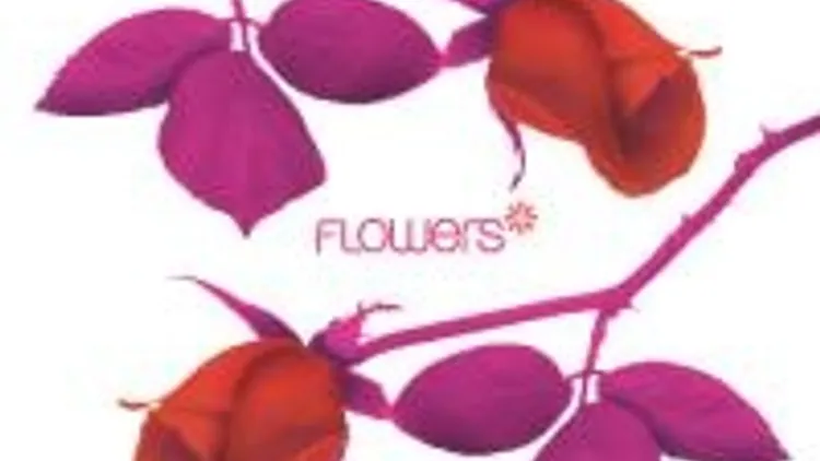 Flowers N°2