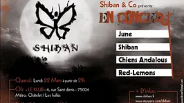 Chiens Andalous En Concert Au Klub