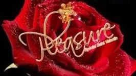 Pleasure