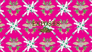 Exposé·es
