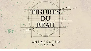 Exposition Figures du beau