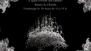 À quoi rêvent les ondes? Bones & Clouds