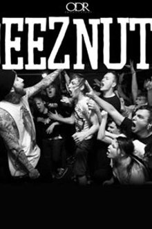 Bout it tour 2013 with deez nuts + Stray From the Path