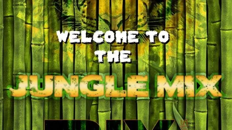 Erasmus Paris : Welcome to The Jungle Mix