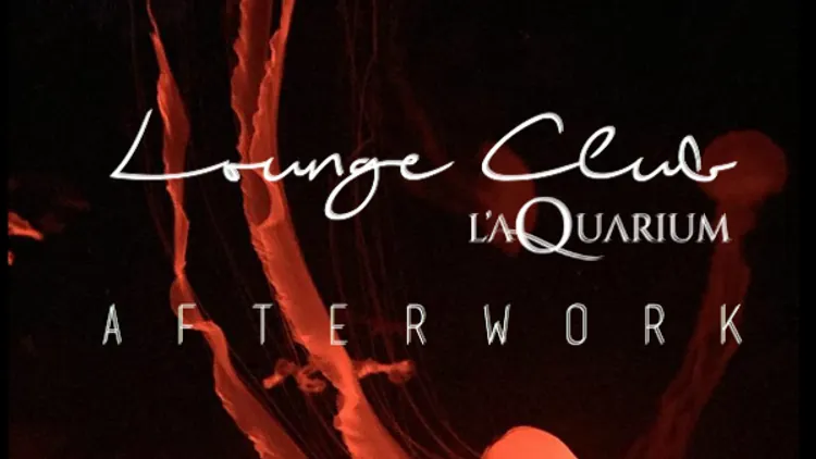 AFTERWORK LOUNGE CLUB AQUARIUM