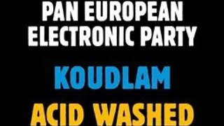 Pan European Electronic Party