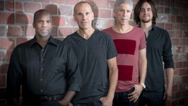 YELLOWJACKETS
