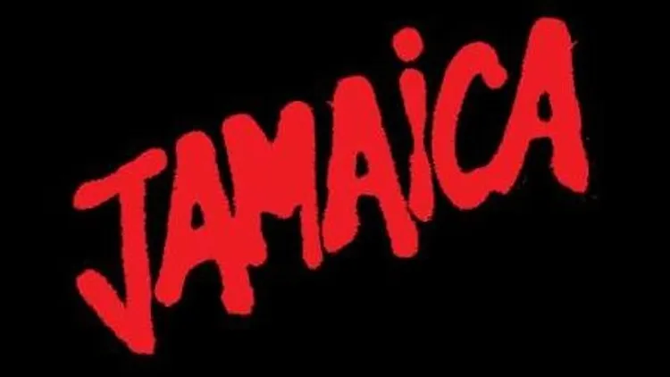 JAMAICA DJ SET ENCHANTE LA VILLETTE