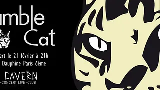 Rumble Cat en concert au Cavern
