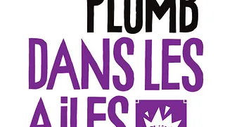 DU PLOMB DANS LES AILES