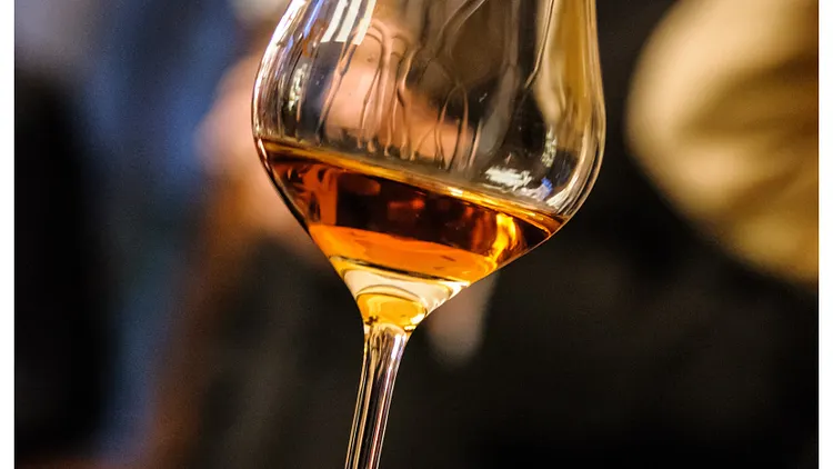 Atelier « Accord Cognac-gibier » par l'AOC Cognac au Grand Tasting