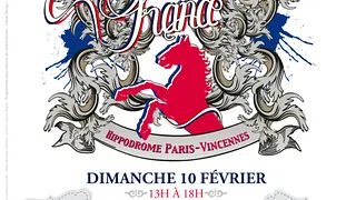 Grand prix de France