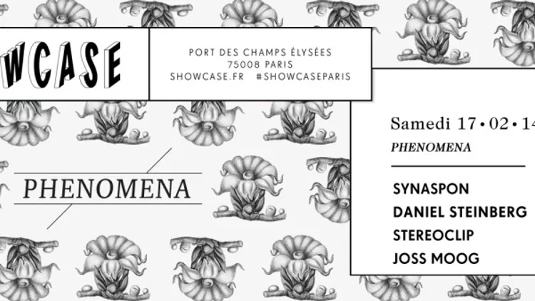 PHENOMENA : SYNAPSON invite DANIEL STEINBERG/STEREOCLIP/JOSS MOOG