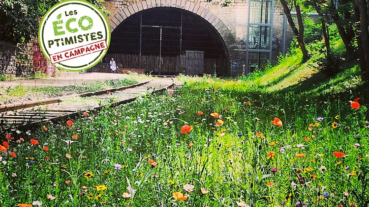 Petite Ceinture, futur réservoir parisien de la biodiversité ?