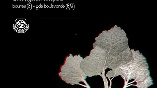 Biebar + Fairguson (solo) + Pokett (solo)