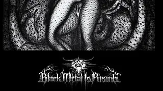 Black Metal Is Rising
