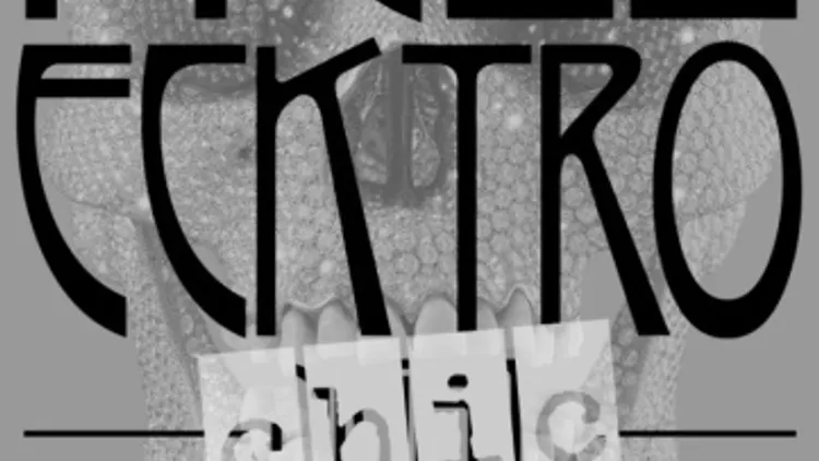 Hell-Ecktro Chic
