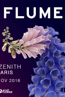 Flume World Tour / Zénith Paris