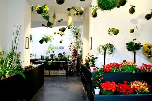 Ikebanart Shop Paris