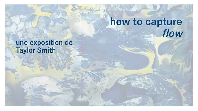 Exposition : "How to Capture Flow" de Taylor Smith