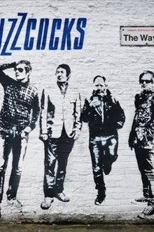 Buzzcocks en concert