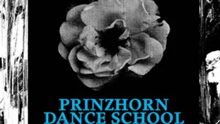 Prinzhorn Dance Shcool + NLF3 + That Summer