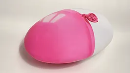 France Bizot « Natures Molles »