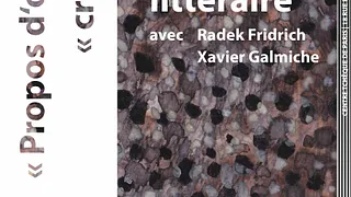 Soirée littéraire avec Radek Fridrich