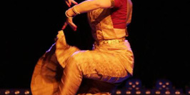 Danse Bharata Natyam -  Kalpana, danse