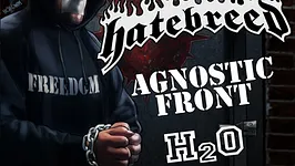 Peristence Tour 2013