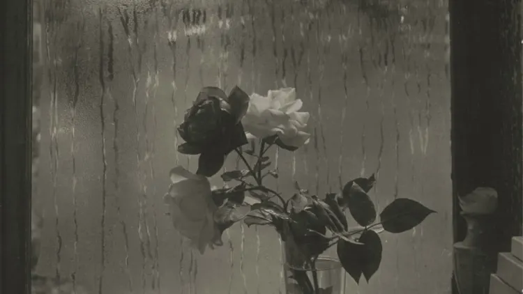 Josef Sudek Le monde à ma fenêtre