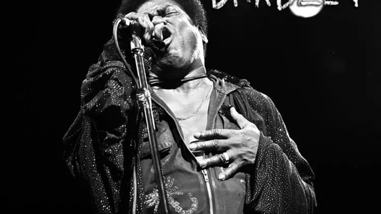 Charles Bradley and his extraordinaires